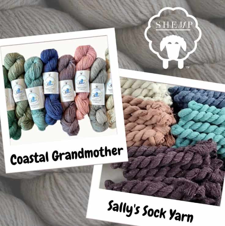 Shemp Yarns Coastal Grandmother and Sally Sock Yarn 